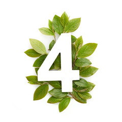 Number for shape with green leaves. Nature concept. Flat lay. Top view