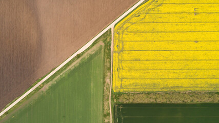 Top down view of fields with various types of agriculture. Beautiful yellow rapeseed fields.