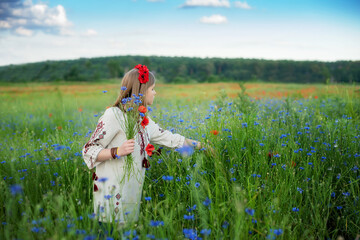 Child in traditional embroidery collecting poppies in field. Blooming Poppies memory symbol.