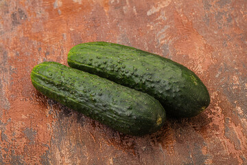 Ripe organic natural green cucumber