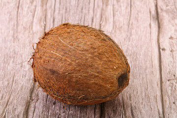 Tropical brown coconut over background