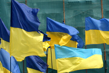 a large number of Ukrainian flags
