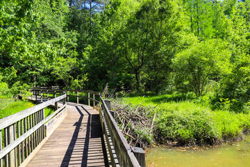 a shot of a brown wooden bridge over the water in a marsh surrounded by lush green trees and plants...