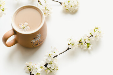 a glass of coffee on a white background, a glass of coffee with cherry branches, coffee with cherry blossoms 