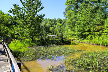 a shot of a brown wooden bridge over the water in a marsh surrounded by lush green trees and plants...