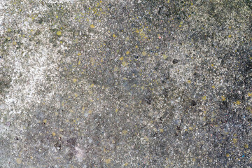 Photo of the concrete screed texture.