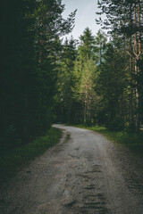 Fototapeta premium The stunning lungkofel mountain in the Dolomites