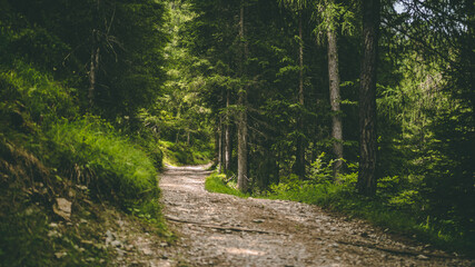 The amazing view of the Dolomiti mountains from Longkofel - next to Dobiacco lake