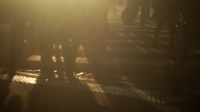 People crossing street during golden houre sunset time