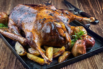 Traditional Christmas roast goose with potatoes, apple and quince served as close-up on a rustic...