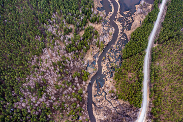 Top-down aerial drone view of green forest, river and swamp with blue sky and clouds reflection. Wild nature background