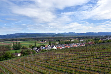 Blick von Freiburg-Opfingen auf den Schwarzwald