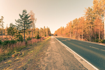 Autumn country road passing through a forest lit by the sun. View from the road