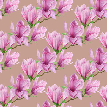 blooming magnolia floral seamless pattern.Watercolor magnolia flowers