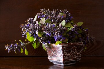 Spring flowers, blue bugle or bugleherb in the vase; Ajuga reptans
