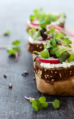 Vegetarian sandwich with vegetable on a dark background