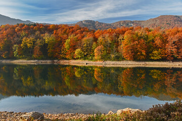 Autumn forest with reflection on Biogradsko lake in Montenegro