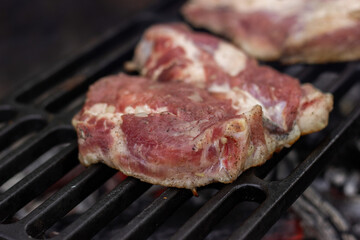 
Raw pork steak has just been placed on a cast iron wire rack