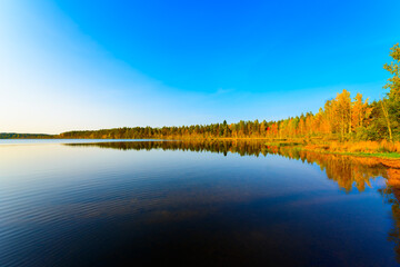 Transparent waters of a forest lake in the rays of the setting sun. View from the shore level