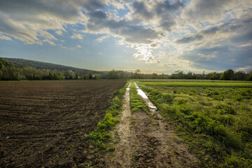 Muddy Country Road to Bright Horizon