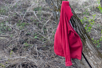 a forgotten red jacket on a tree branch