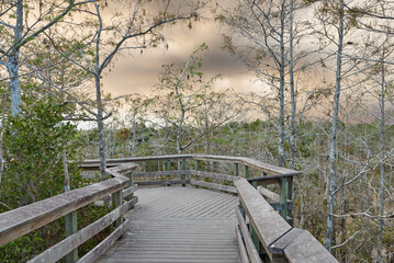 Naklejka na ściany i meble Wooden boardwalk in Everglades with dramatic clouds