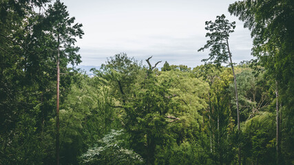 Amazing mountain view in Kyoto Japan
