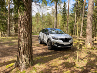 A silver crossover stands in the forest between the trees. The SUV pulled into the woods. Landscape with a silvery crossover in the forest. All-wheel drive off the paved road