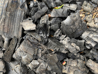 Background of black birch charcoal scattered on the ground. Black charcoal texture