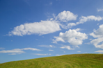 Fototapeta premium Slovenian Corn Fields