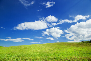 Fototapeta premium Slovenian Corn Fields