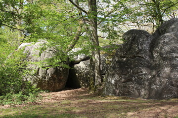 Rocher de la for&ecirc;t de Fontainebleau