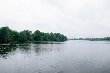 The landscape of Hillsborough river bank at Tampa, Florida