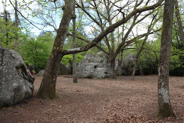 Rocher de la forêt de Fontainebleau