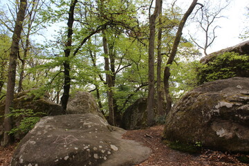 Rocher de la forêt de Fontainebleau
