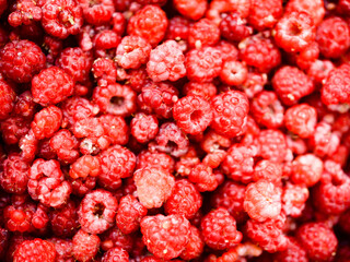 Raspberries background. Fresh red berries of ripe raspberries	
