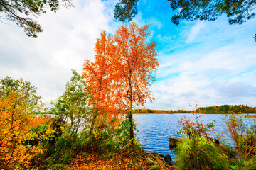 Forest lake in late autumn, trees grow on the shore. View from the shore