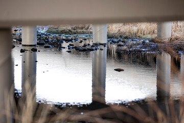 Four concrete columns reflected underneath an overpass with swamp and flowing water nature conservancy