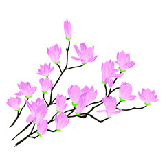 Blooming cherry. Sakura branch with flower buds. Cartoon drawing of a flowering tree in spring. Logo with japanese cherry. Tattoos 