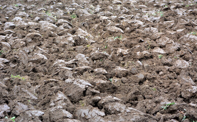 Plowing autumn field