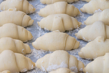 Mini Croissants Ready to Bake on Tray Raw Dough Closeup