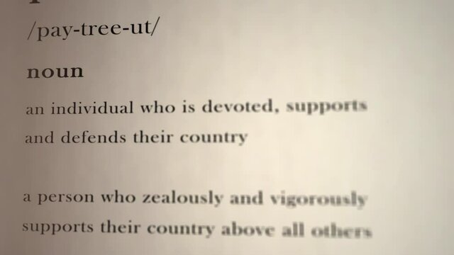 Patriot Definition