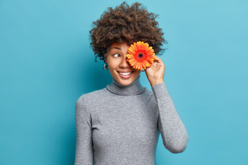 Horizontal shot of cheerful African American woman covers eye with orange gerbera flower smiles pleasantly makes bouquets wears grey turtleneck isolated over blue backgound. Cheerful florist