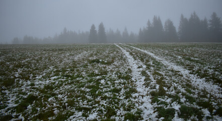 Snowy meadow and on it a line of the road in foggy weather, on a background of forest, nature landscape