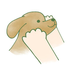 Dog being patted on the head