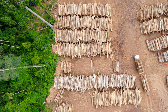 Aerial view of a log storage yard from authorized logging in an area of the Brazilian Amazon rainforest.