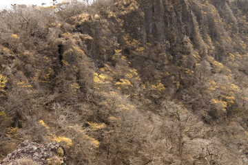大浪池周辺の外輪山内壁	