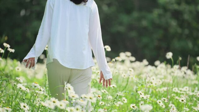back view 4k slow motion of pretty young slim asian woman in white shirt walking in the blooming spring flower field outdoor in the early summer day charming girl enjoy relax in the nature