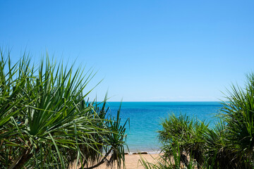 Obraz premium Nightcliff Beach view through Pandanus foliage, Darwin, Northern Territory, Australia.