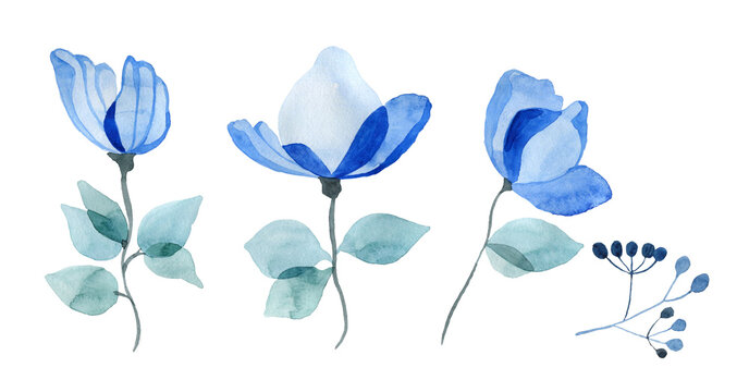 gentle romantic banner for social network transparent flowers